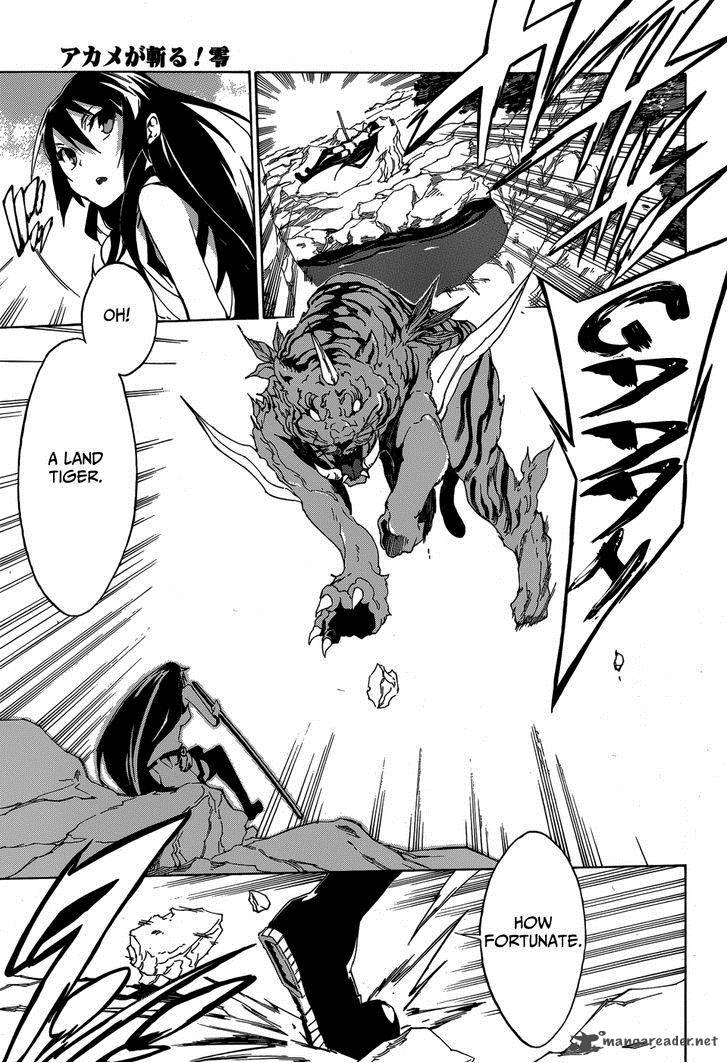 Akame Ga Kill Zero Chapter 2 Page 16