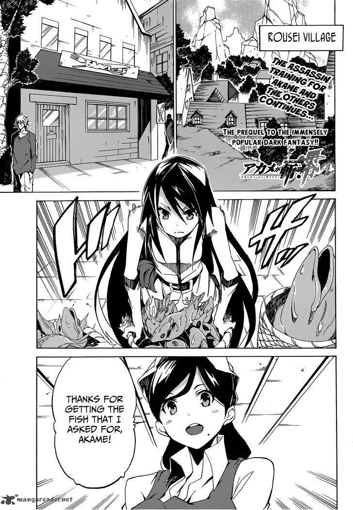Akame Ga Kill Zero Chapter 3 Page 2