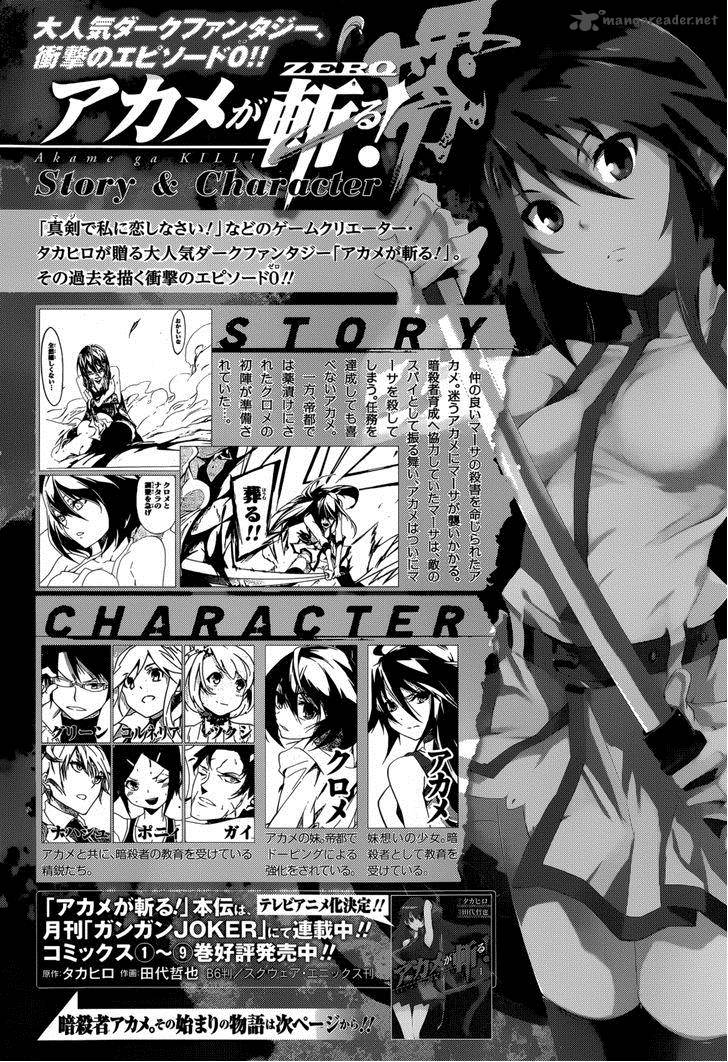 Akame Ga Kill Zero Chapter 5 Page 2