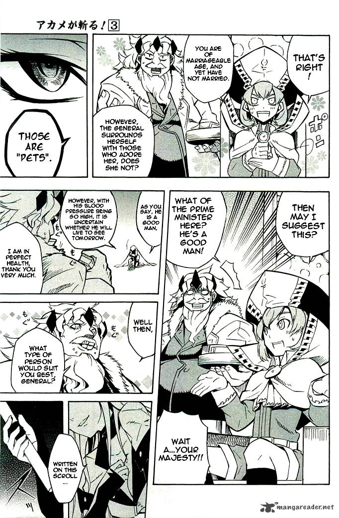 Akame Ga Kiru Chapter 10 Page 25