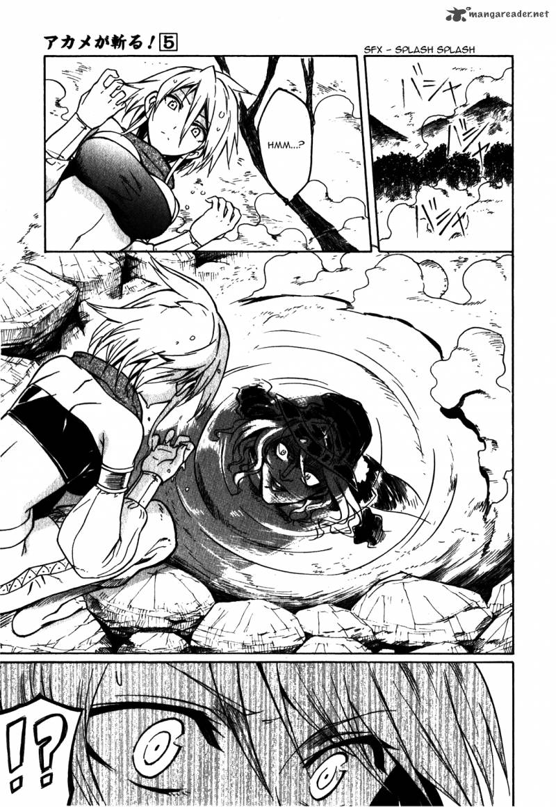 Akame Ga Kiru Chapter 20 Page 5