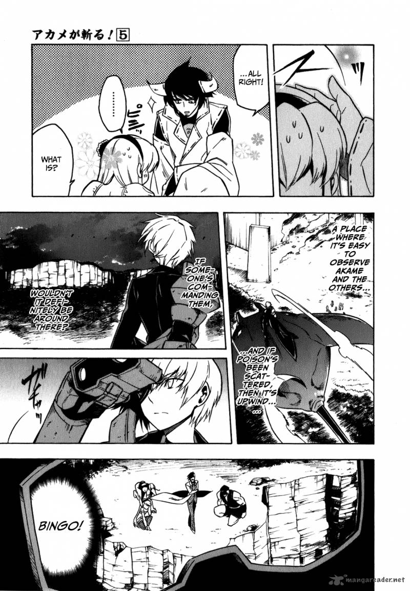 Akame Ga Kiru Chapter 21 Page 28