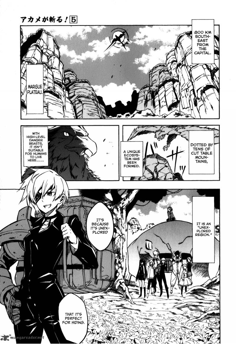 Akame Ga Kiru Chapter 22 Page 5