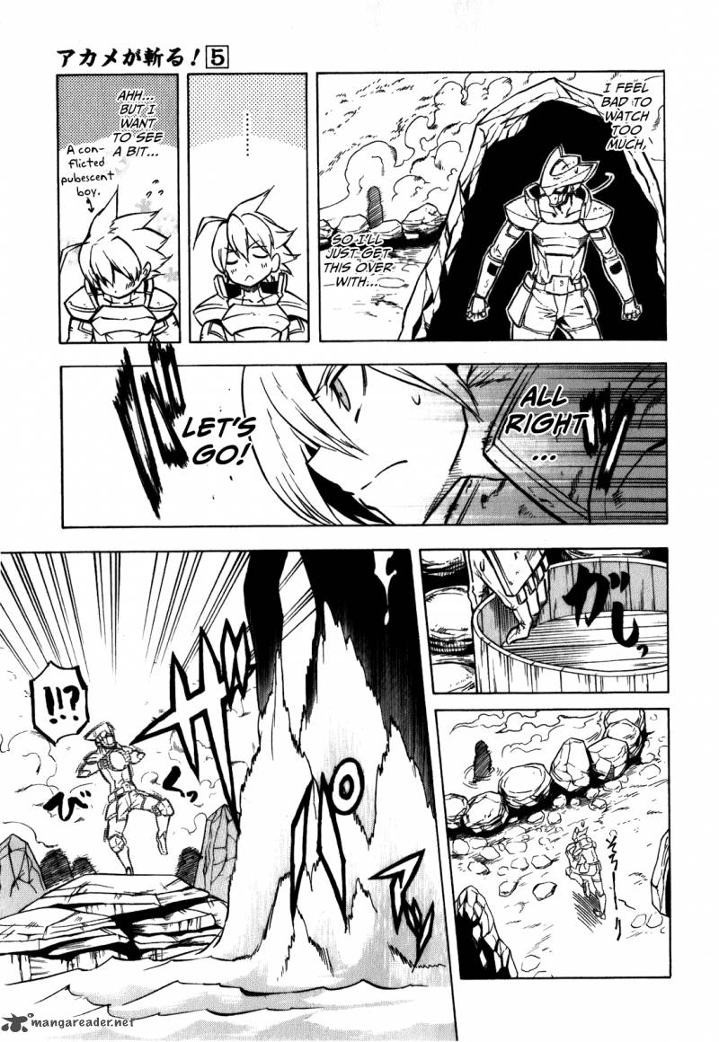 Akame Ga Kiru Chapter 23 Page 27