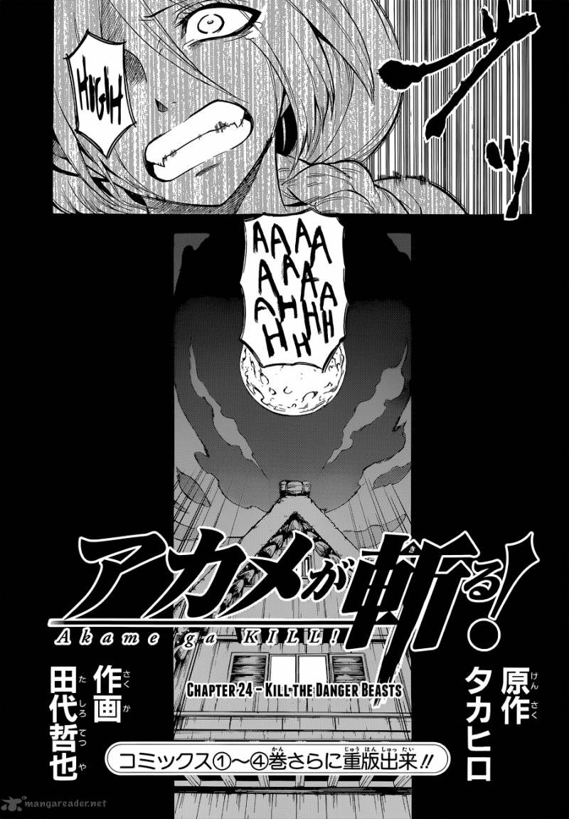 Akame Ga Kiru Chapter 24 Page 3