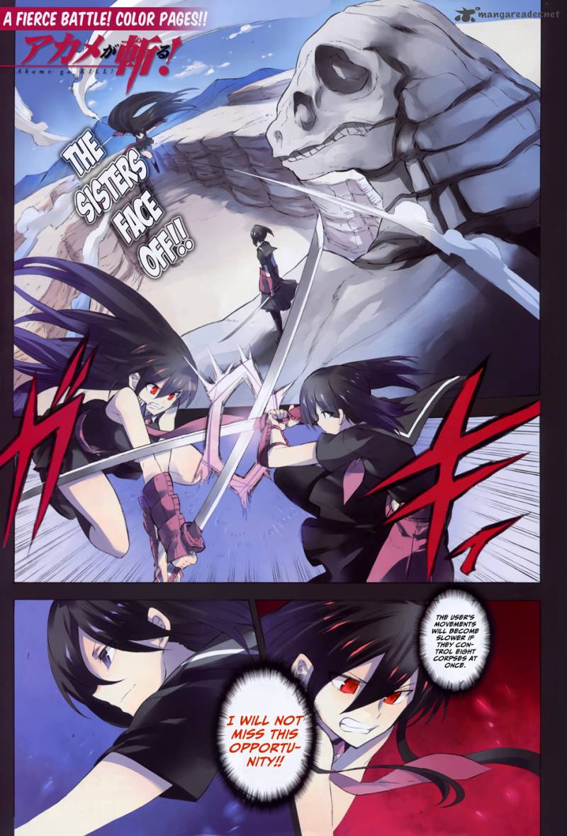 Akame Ga Kiru Chapter 30 Page 2