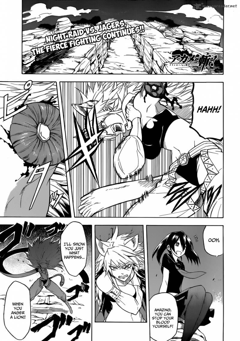 Akame Ga Kiru Chapter 31 Page 1