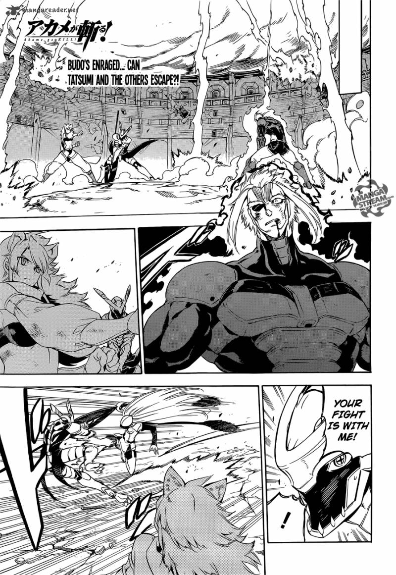 Akame Ga Kiru Chapter 56 Page 1