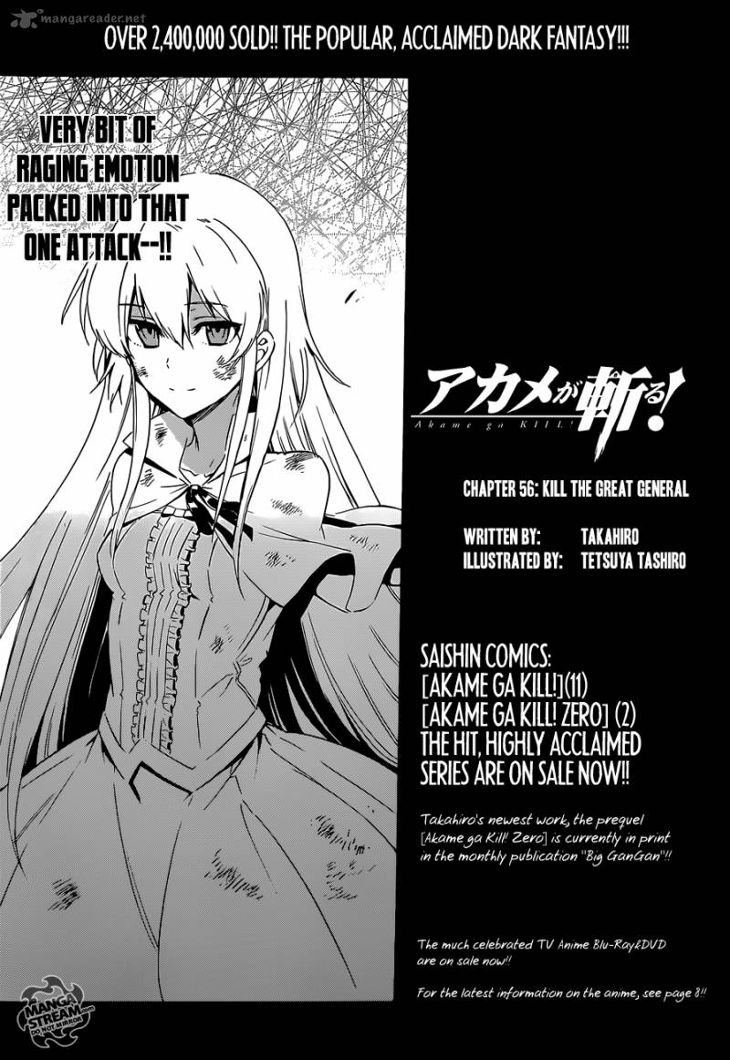 Akame Ga Kiru Chapter 56 Page 18