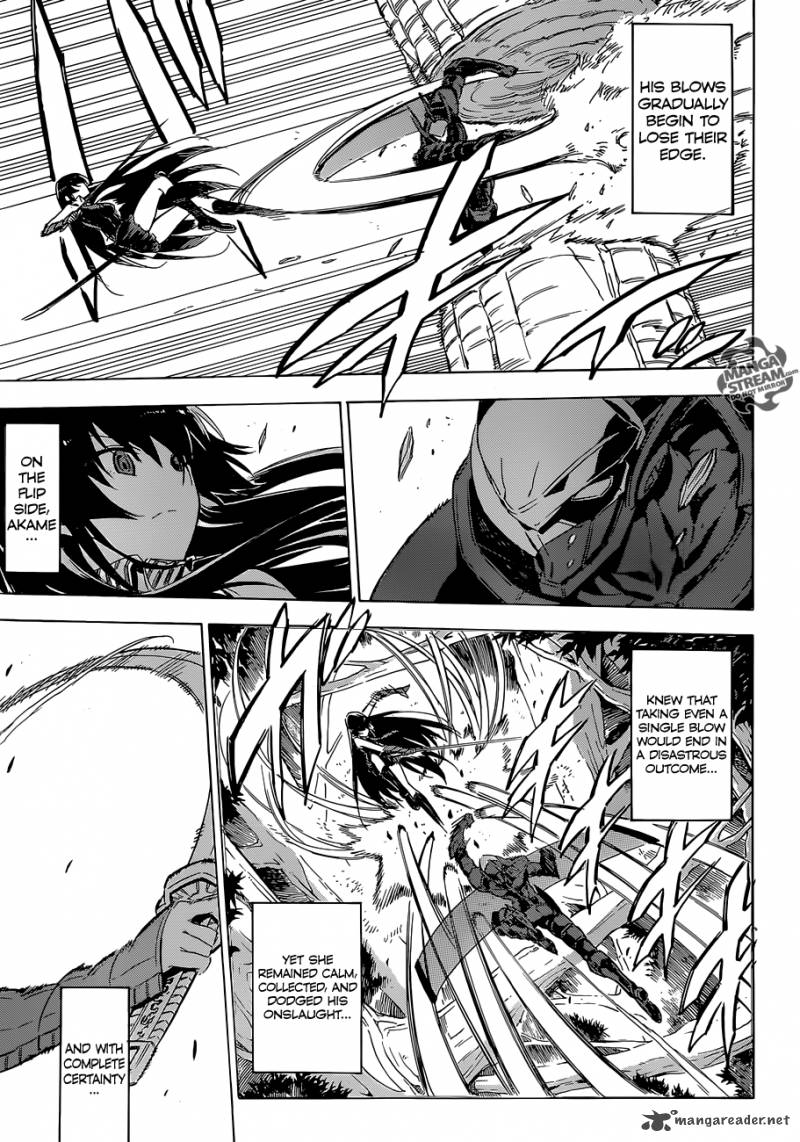Akame Ga Kiru Chapter 62 Page 13