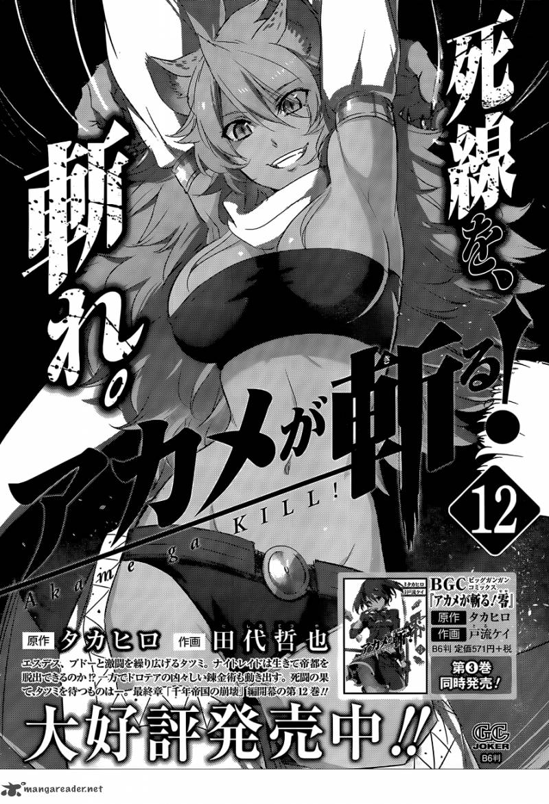 Akame Ga Kiru Chapter 62 Page 49