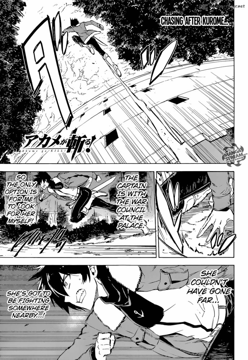 Akame Ga Kiru Chapter 65 Page 1