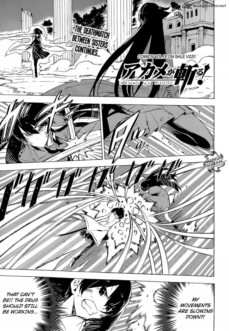 Akame Ga Kiru Chapter 66 Page 1