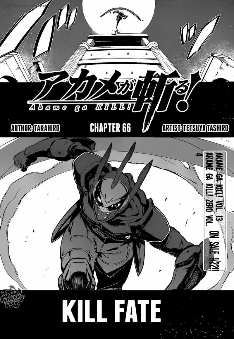 Akame Ga Kiru Chapter 66 Page 5