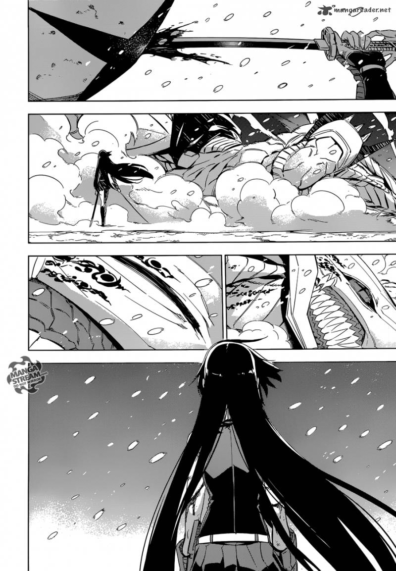 Akame Ga Kiru Chapter 76 Page 46
