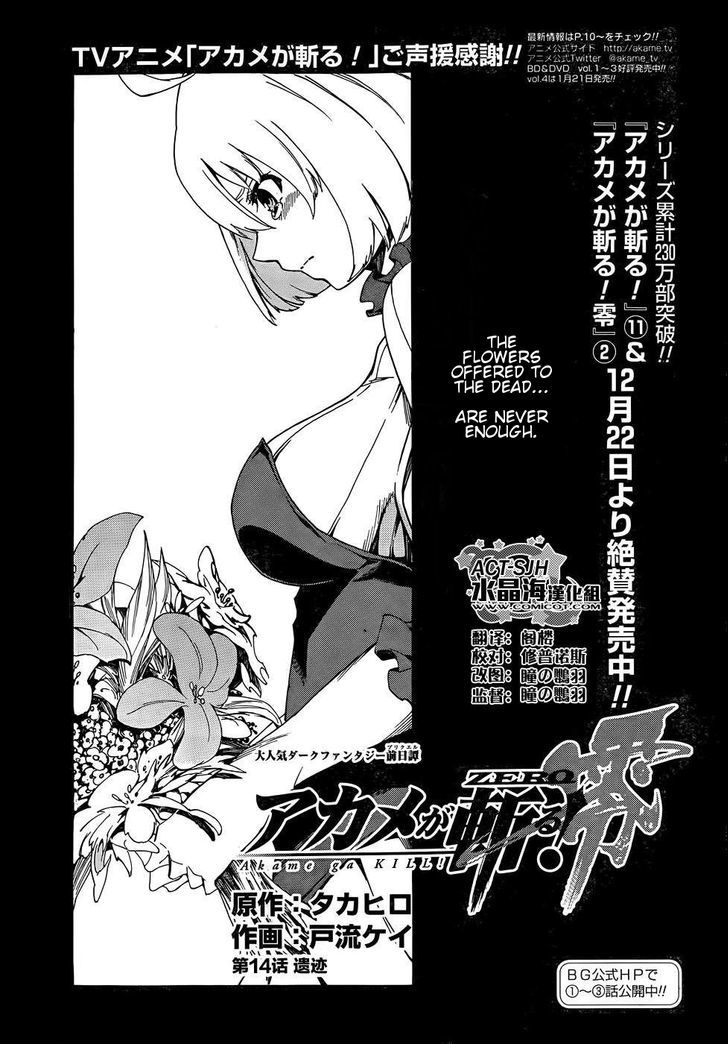 Akame Ga Kiru Zero Chapter 14 Page 1