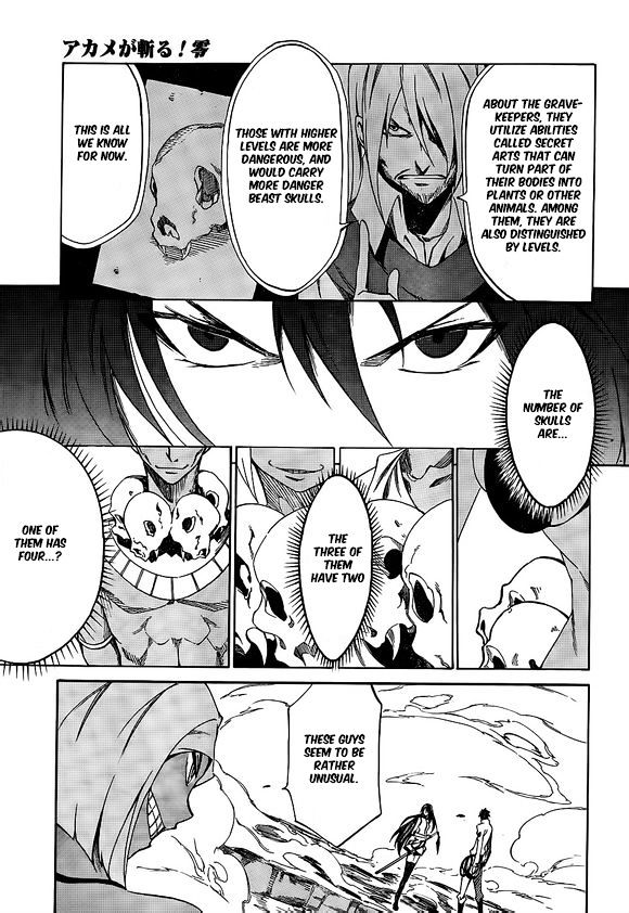 Akame Ga Kiru Zero Chapter 16 Page 20