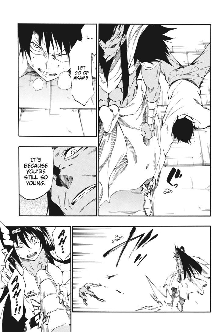 Akame Ga Kiru Zero Chapter 22 Page 24