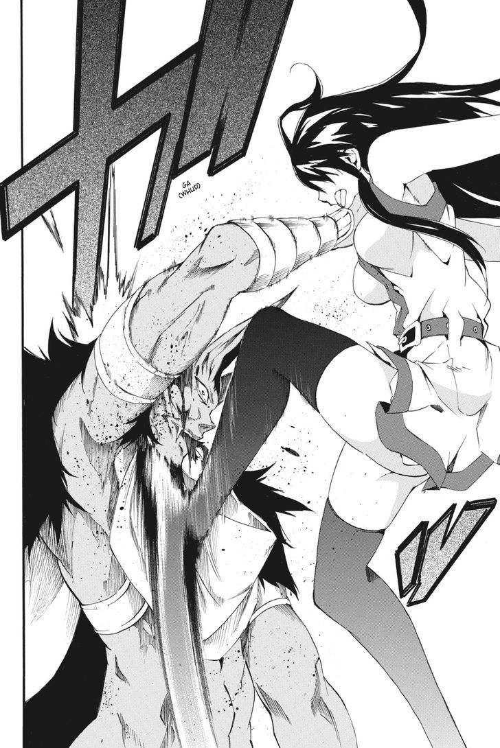 Akame Ga Kiru Zero Chapter 22 Page 27