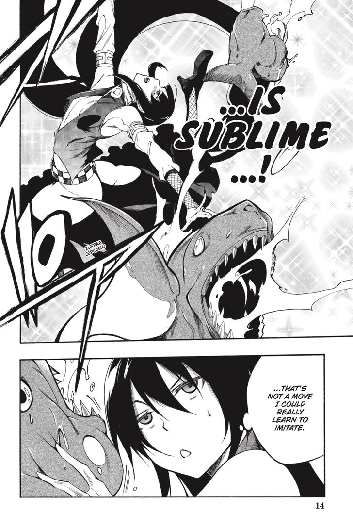 Akame Ga Kiru Zero Chapter 38 Page 14