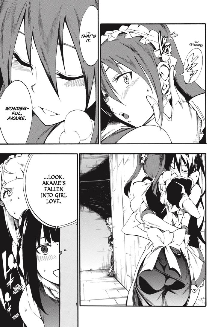 Akame Ga Kiru Zero Chapter 39 Page 9
