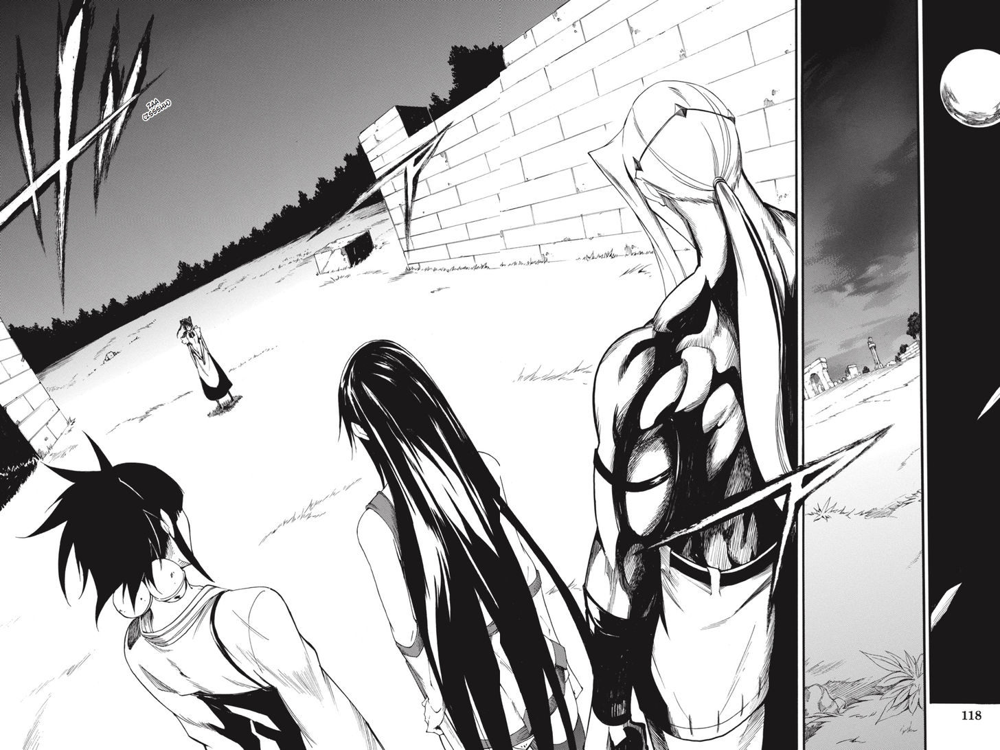 Akame Ga Kiru Zero Chapter 41 Page 8