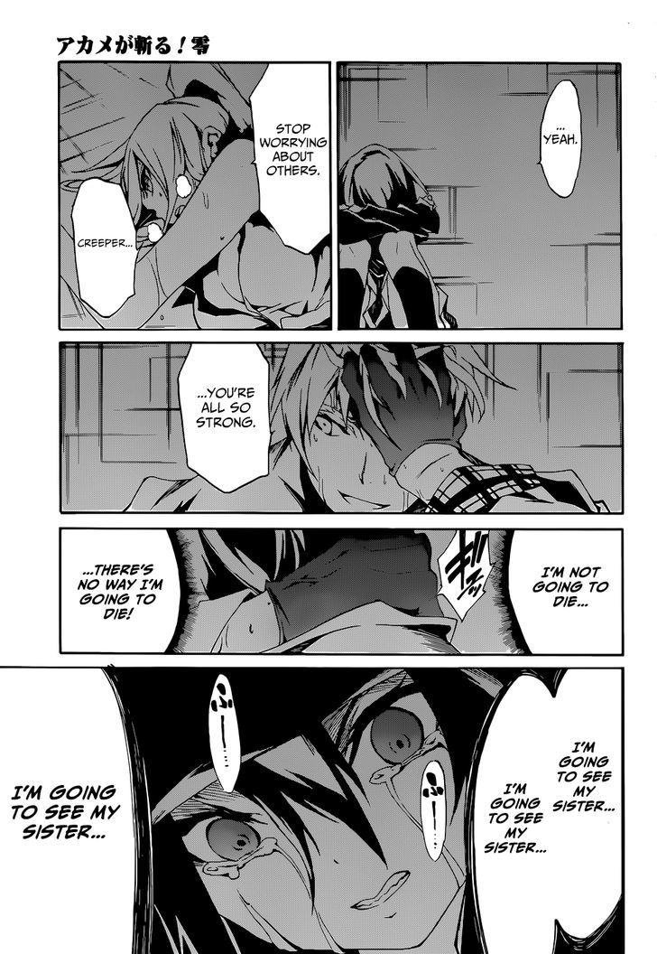 Akame Ga Kiru Zero Chapter 5 Page 33