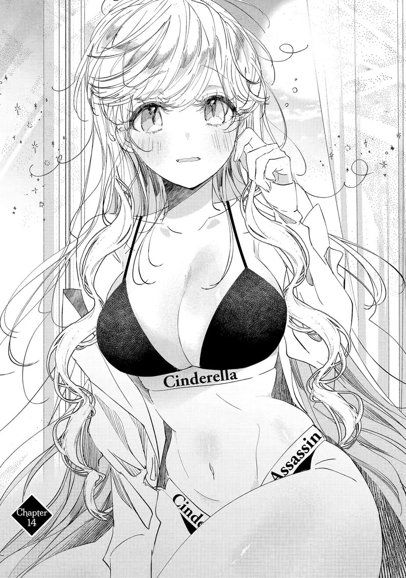Assassin Cinderella Chapter 14 Page 3