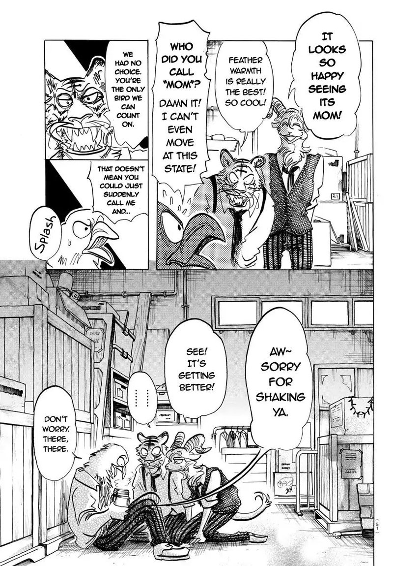 Beastars Chapter 155 Page 13