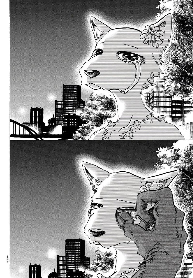 Beastars Chapter 86 Page 17