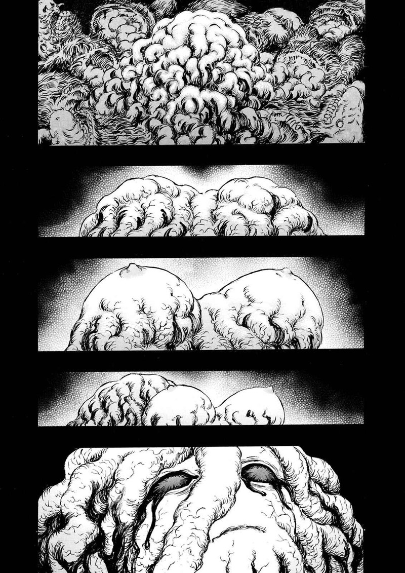 Berserk Chapter 219 Page 8