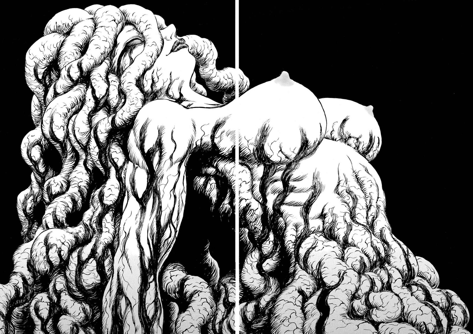 Berserk Chapter 219 Page 9