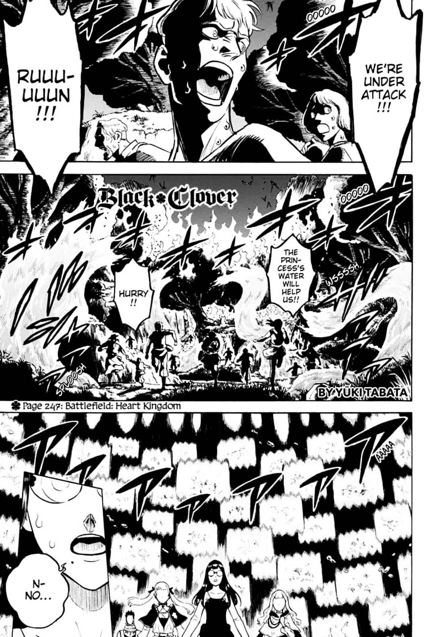 Black Clover Chapter 247 Page 1