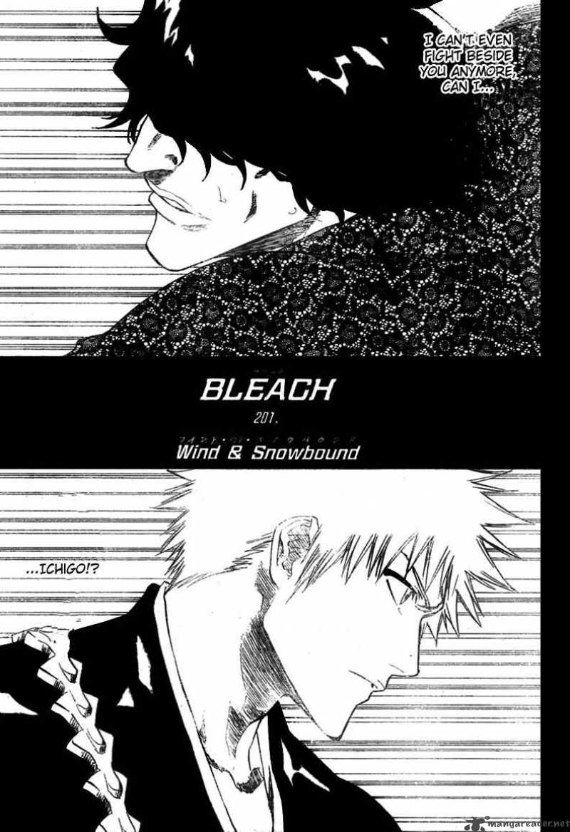 Bleach Chapter 201 Page 8