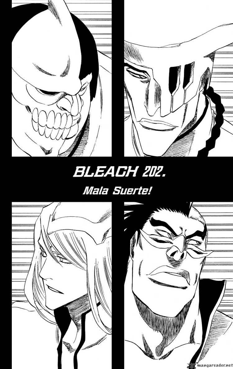 Bleach Chapter 202 Page 8