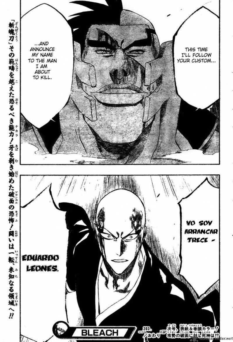 Bleach Chapter 203 Page 23