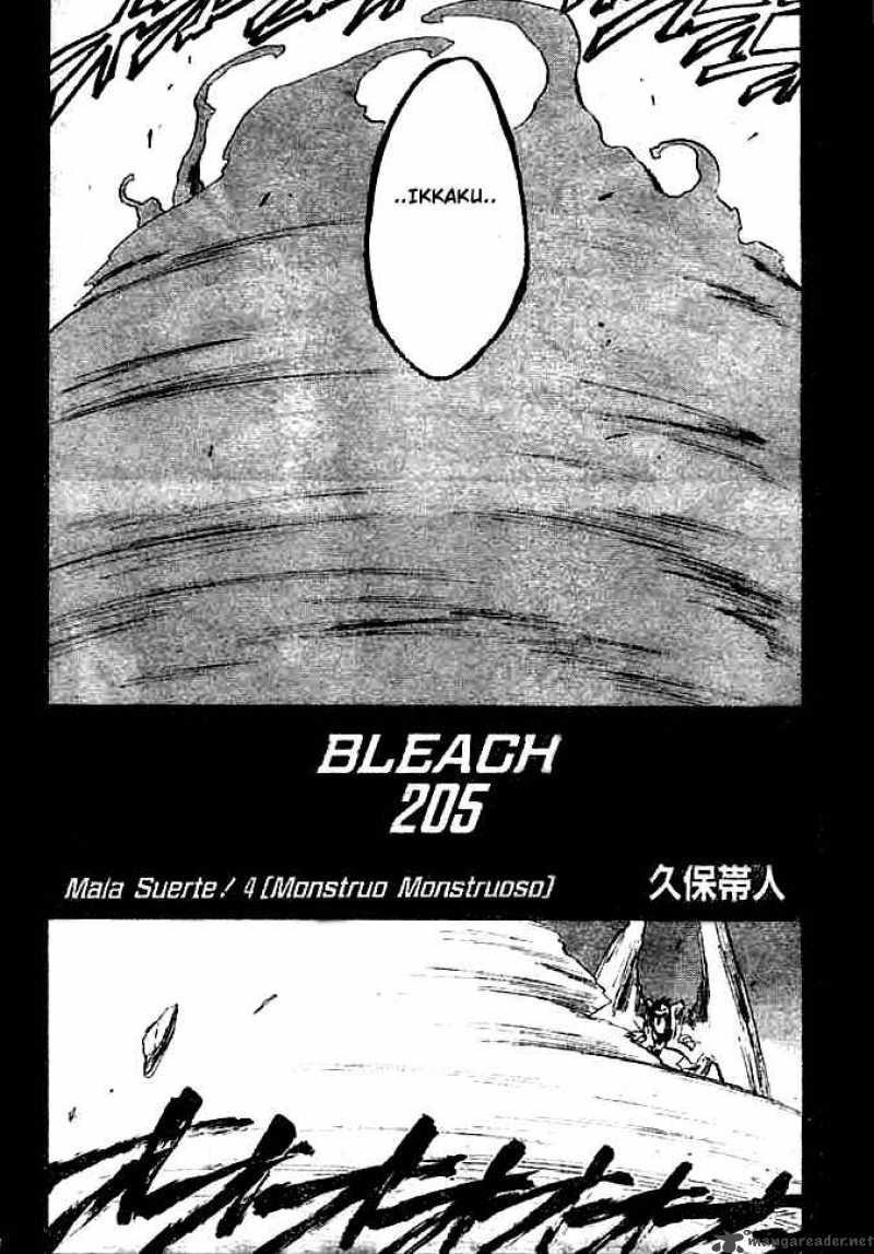 Bleach Chapter 205 Page 3