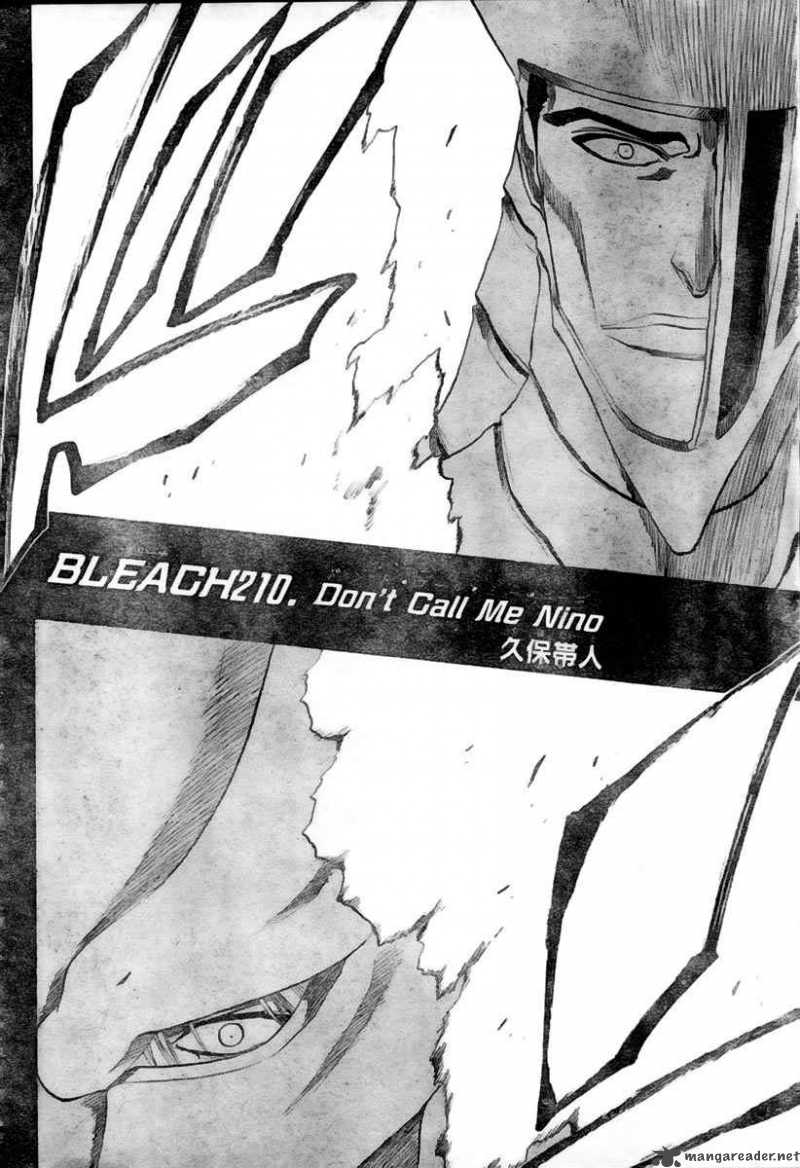 Bleach Chapter 210 Page 3