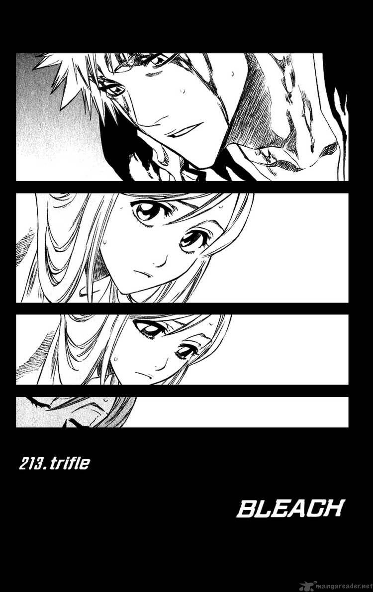 Bleach Chapter 213 Page 8