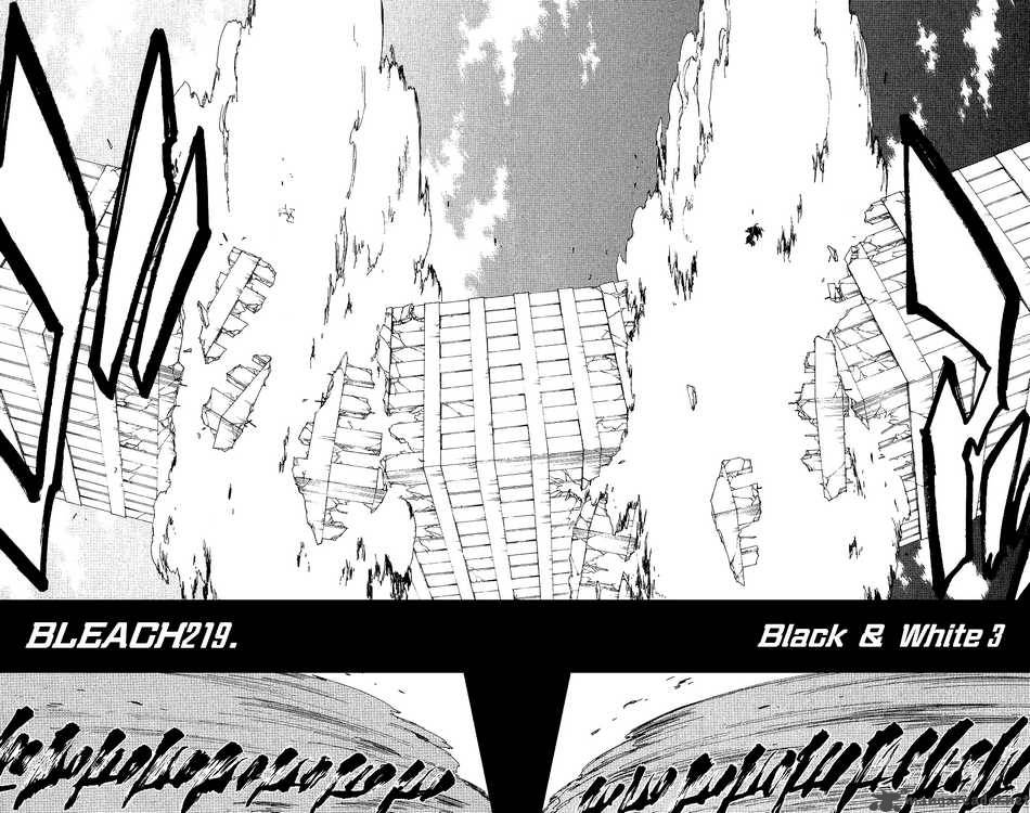 Bleach Chapter 219 Page 4