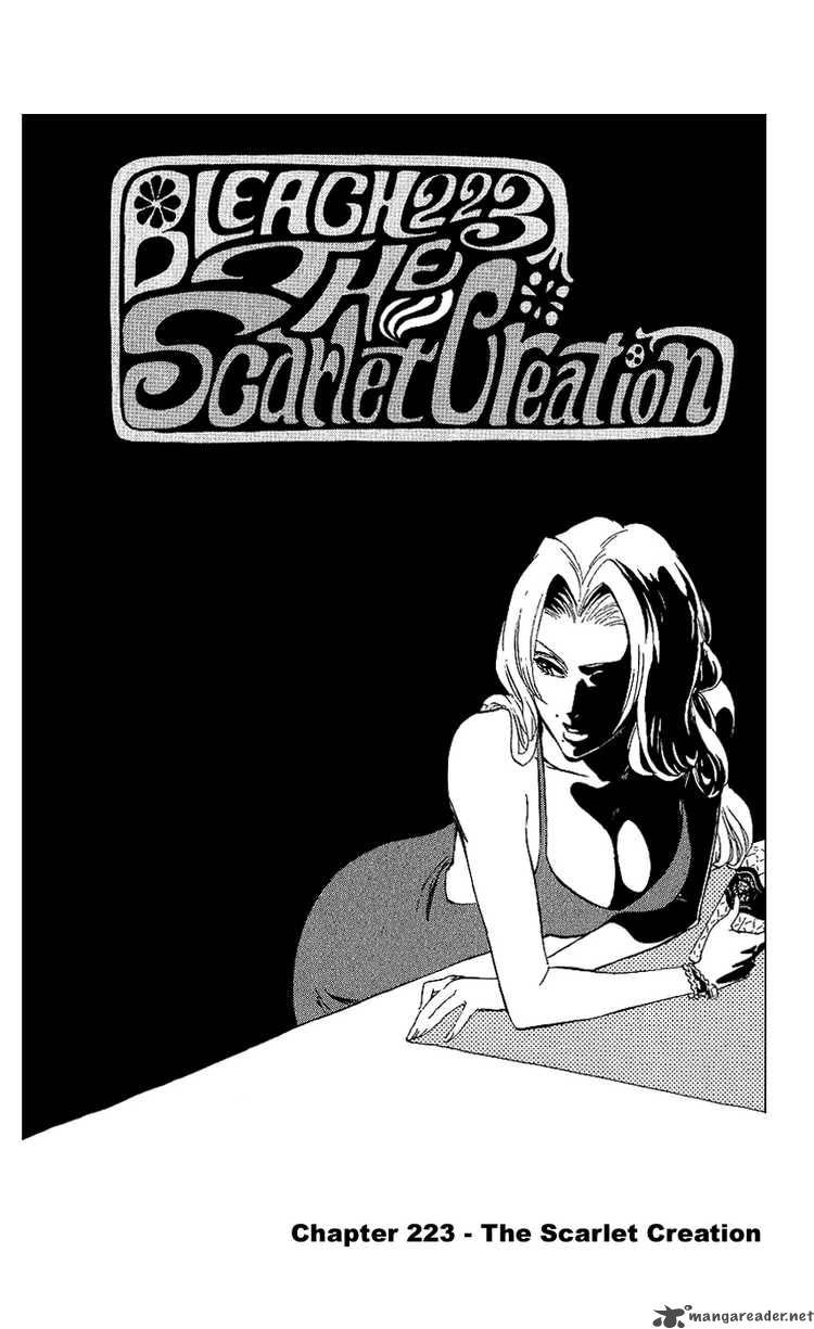 Bleach Chapter 223 Page 3