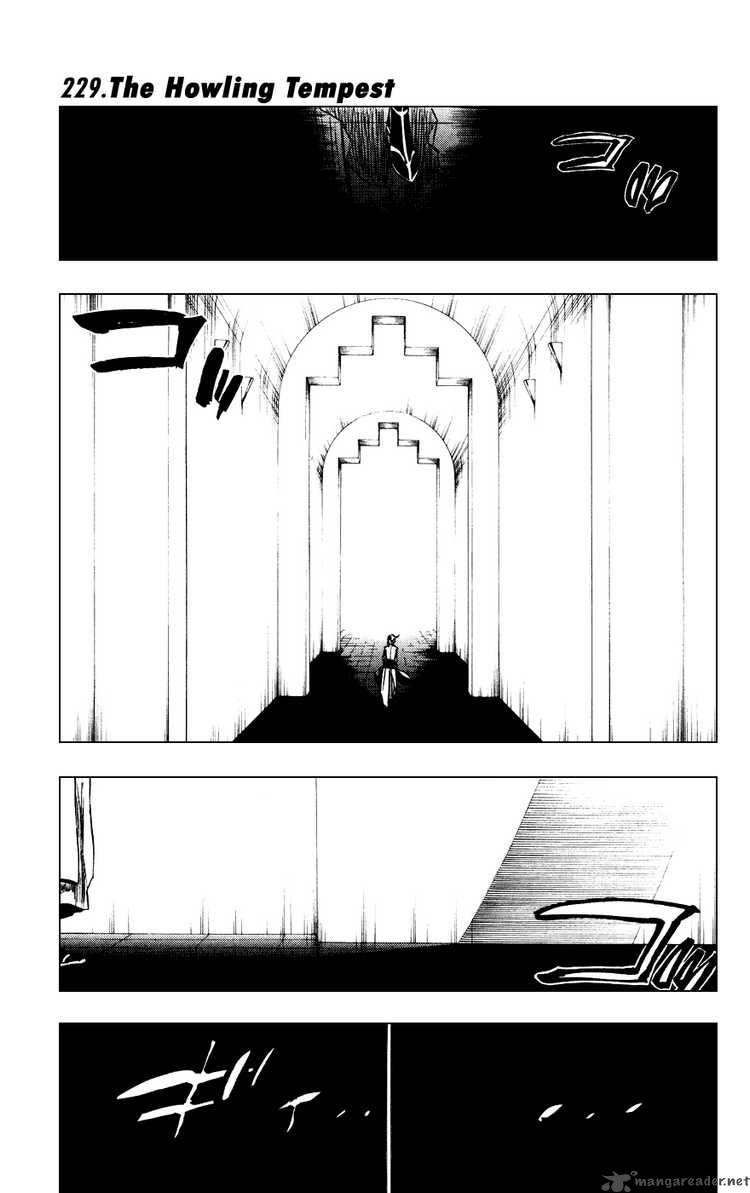 Bleach Chapter 229 Page 1