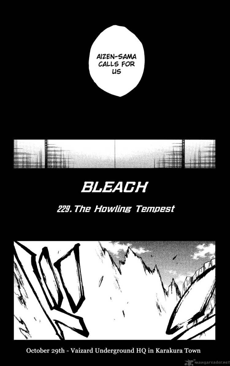 Bleach Chapter 229 Page 6