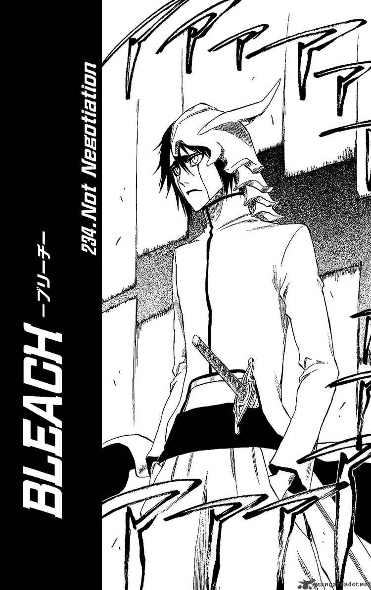 Bleach Chapter 234 Page 7