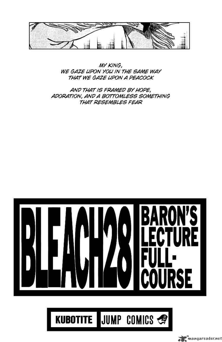 Bleach Chapter 243 Page 3