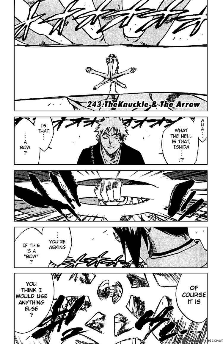 Bleach Chapter 243 Page 6