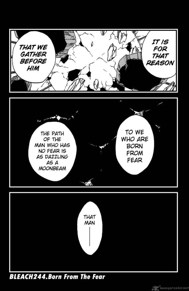 Bleach Chapter 244 Page 6
