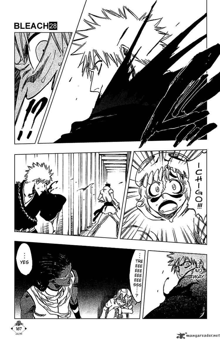 Bleach Chapter 250 Page 17