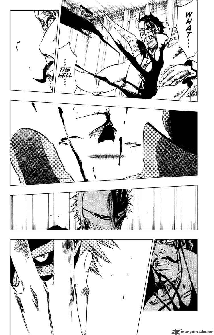 Bleach Chapter 253 Page 17