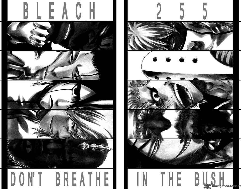 Bleach Chapter 255 Page 2